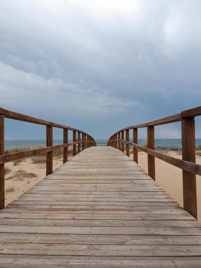 Elche Holidays Luaran gambar